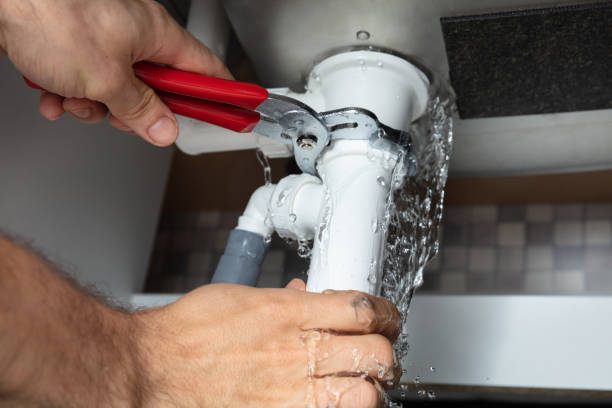 Best Water damage restoration cost  in Du Quoin, IL