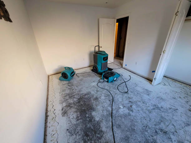 Best Water damage restoration near me  in Du Quoin, IL