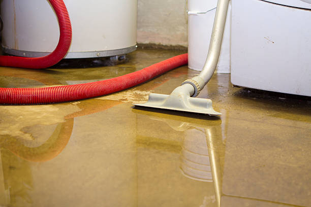 Best Water damage cleanup near me  in Du Quoin, IL