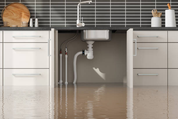  Du Quoin, IL Water damage restoration Pros