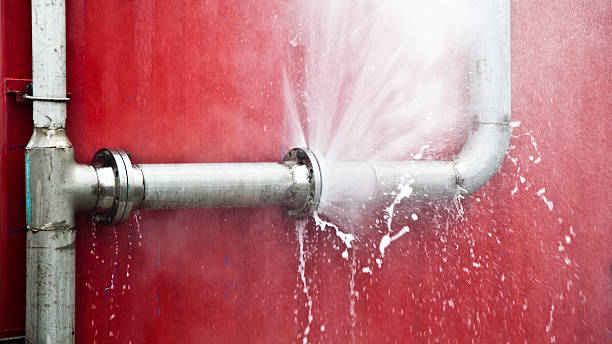 Best Fire Damage Restoration  in Du Quoin, IL